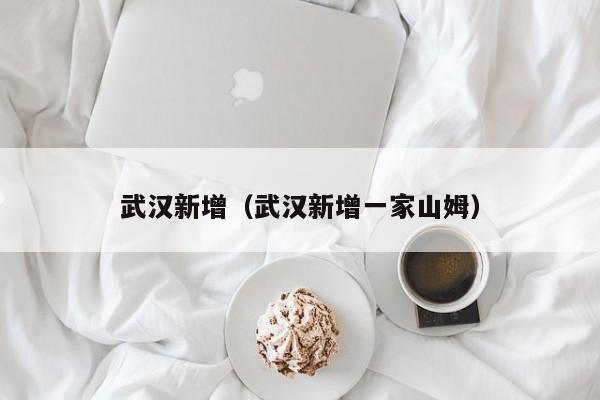 武汉新增（武汉新增一家山姆）