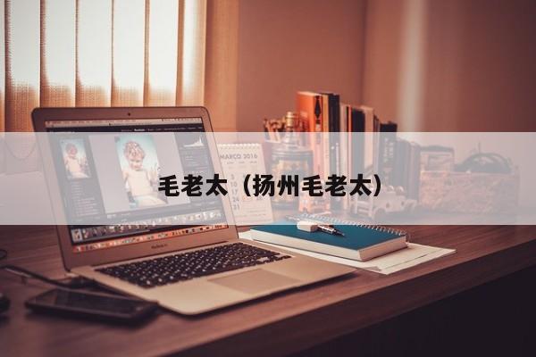 毛老太（扬州毛老太）