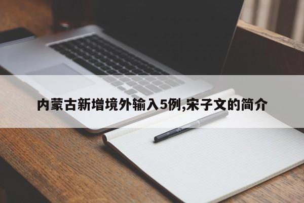 内蒙古新增境外输入5例,宋子文的简介