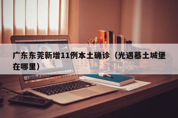 广东东莞新增11例本土确诊（光遇墓土城堡在哪里）