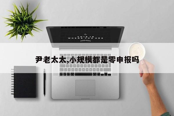 尹老太太,小规模都是零申报吗