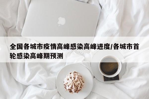 全国各城市疫情高峰感染高峰进度/各城市首轮感染高峰期预测