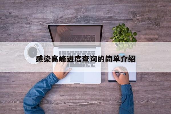 感染高峰进度查询的简单介绍