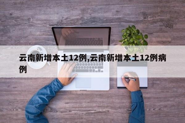 云南新增本土12例,云南新增本土12例病例