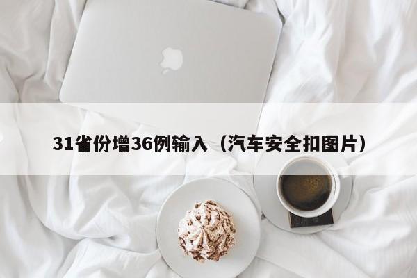 31省份增36例输入（汽车安全扣图片）